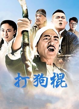 FSS合集-绝对指令[196P/12V/6.31G]